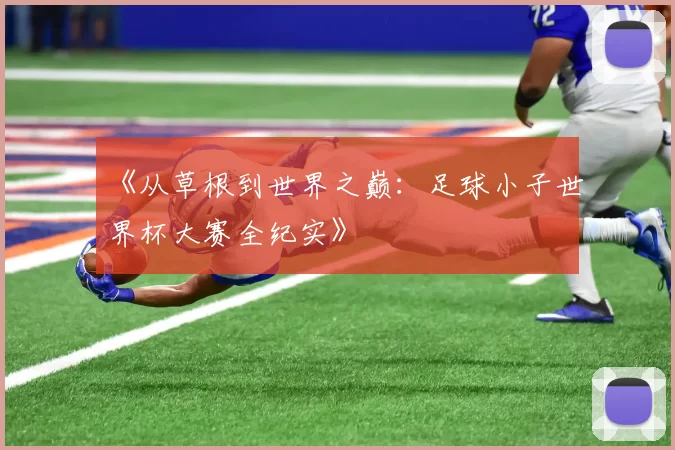 《从草根到世界之巅:足球小子世界杯大赛全纪实》