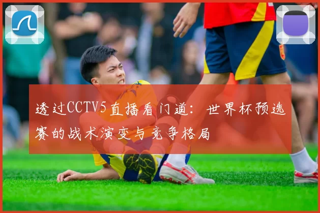 透过CCTV5直播看门道:世界杯预选赛的战术演变与竞争格局