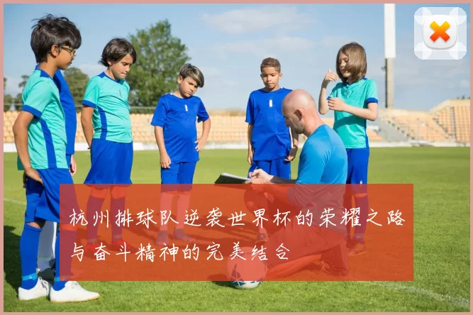 杭州排球队逆袭世界杯的荣耀之路与奋斗精神的完美结合