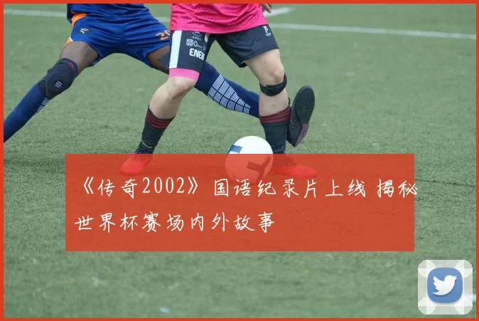 《传奇2002》国语纪录片上线 揭秘世界杯赛场内外故事