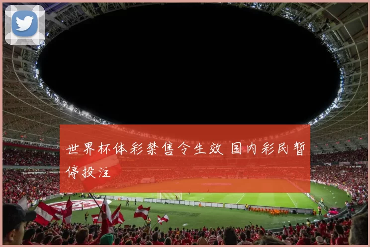 世界杯体彩禁售令生效 国内彩民暂停投注
