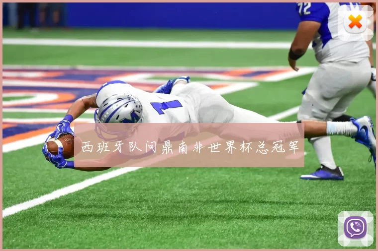 西班牙队问鼎南非世界杯总冠军