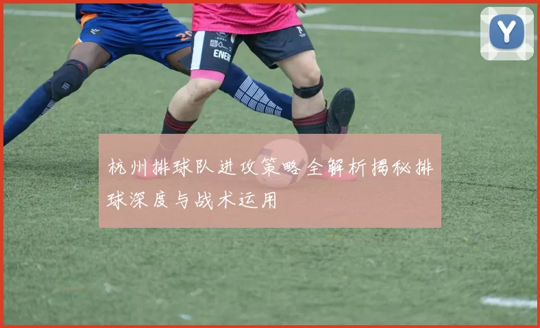 杭州排球队进攻策略全解析揭秘排球深度与战术运用