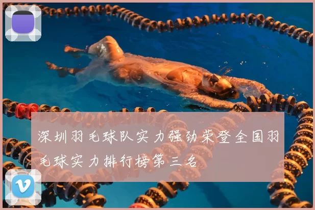 深圳羽毛球队实力强劲荣登全国羽毛球实力排行榜第三名