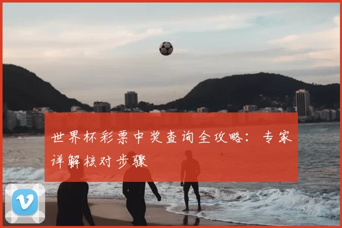 世界杯彩票中奖查询全攻略：专家详解核对步骤
