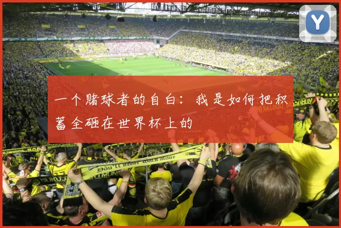 一个赌球者的自白:我是如何把积蓄全砸在世界杯上的
