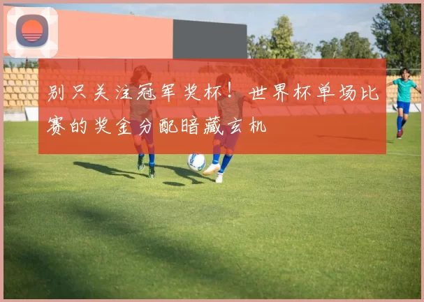 别只关注冠军奖杯！世界杯单场比赛的奖金分配暗藏玄机