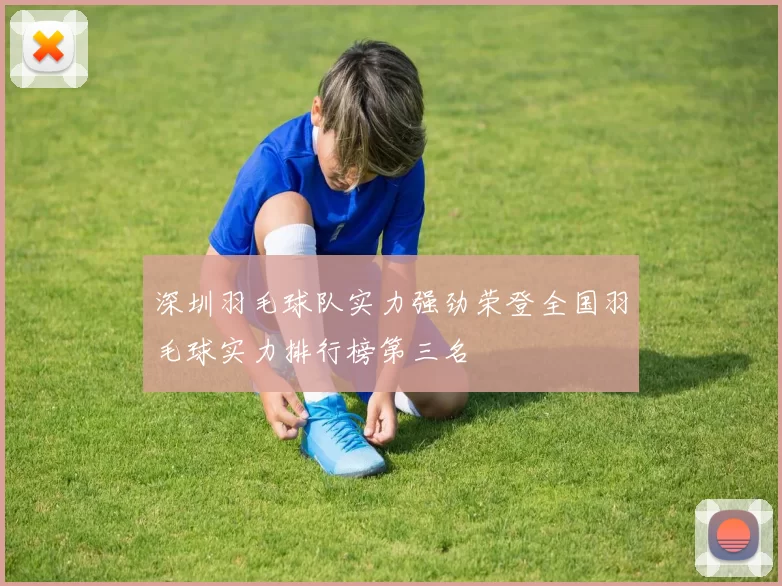 深圳羽毛球队实力强劲荣登全国羽毛球实力排行榜第三名