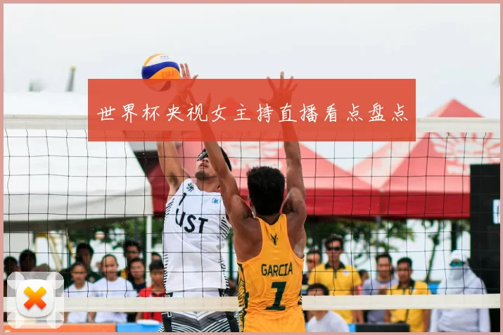 世界杯央视女主持直播看点盘点