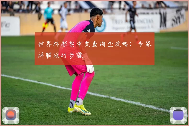 世界杯彩票中奖查询全攻略:专家详解核对步骤