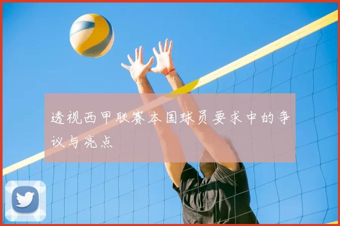 透视西甲联赛本国球员要求中的争议与亮点