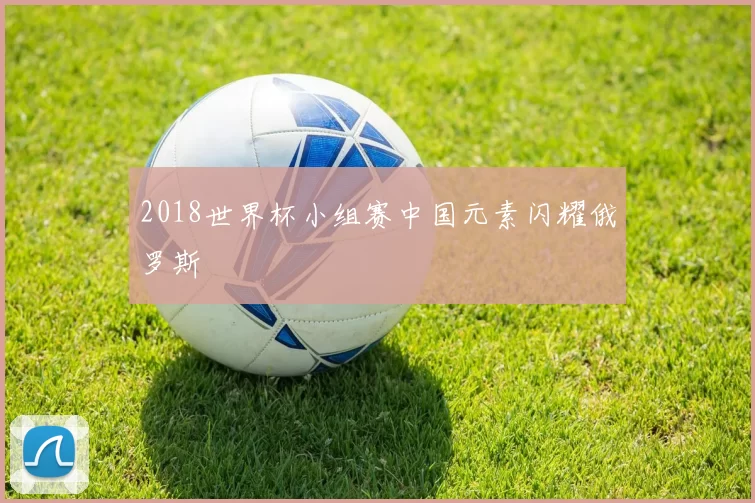 2018世界杯小组赛中国元素闪耀俄罗斯