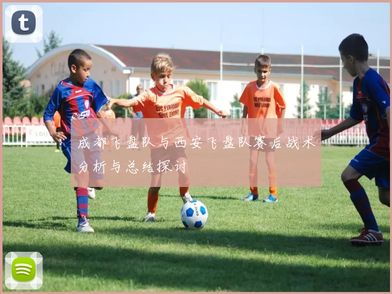 成都飞盘队与西安飞盘队赛后战术分析与总结探讨