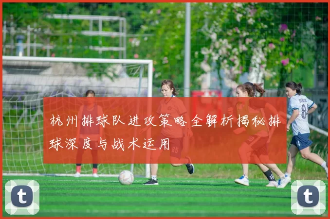 杭州排球队进攻策略全解析揭秘排球深度与战术运用