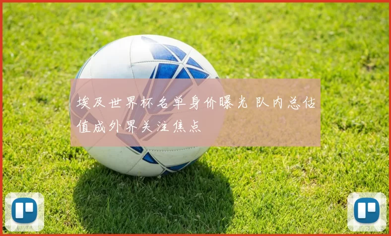 埃及世界杯名单身价曝光 队内总估值成外界关注焦点
